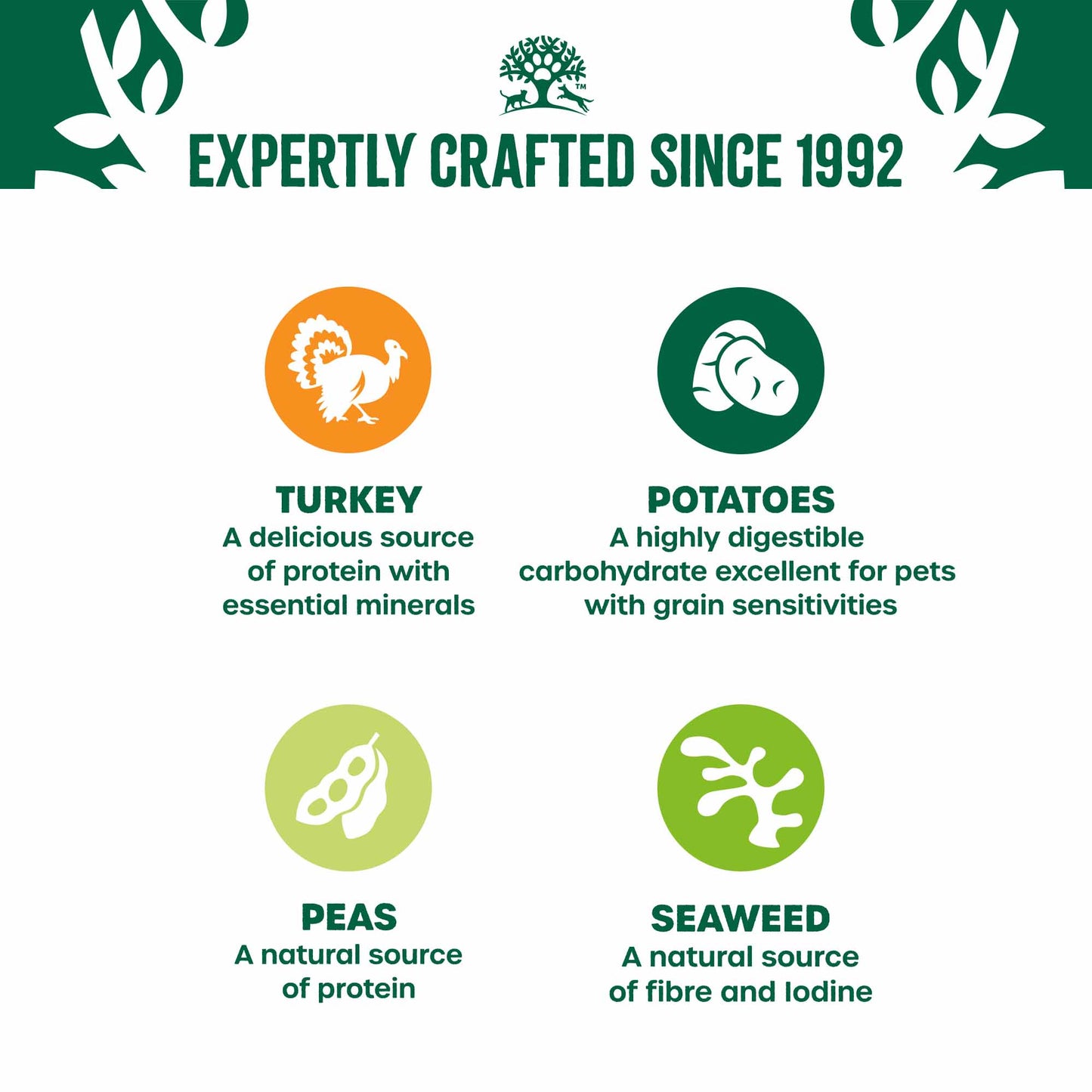 James Wellbeloved Grain Free Puppy Wet Dog Food in Gravy - Turkey - 12x90g Pouches