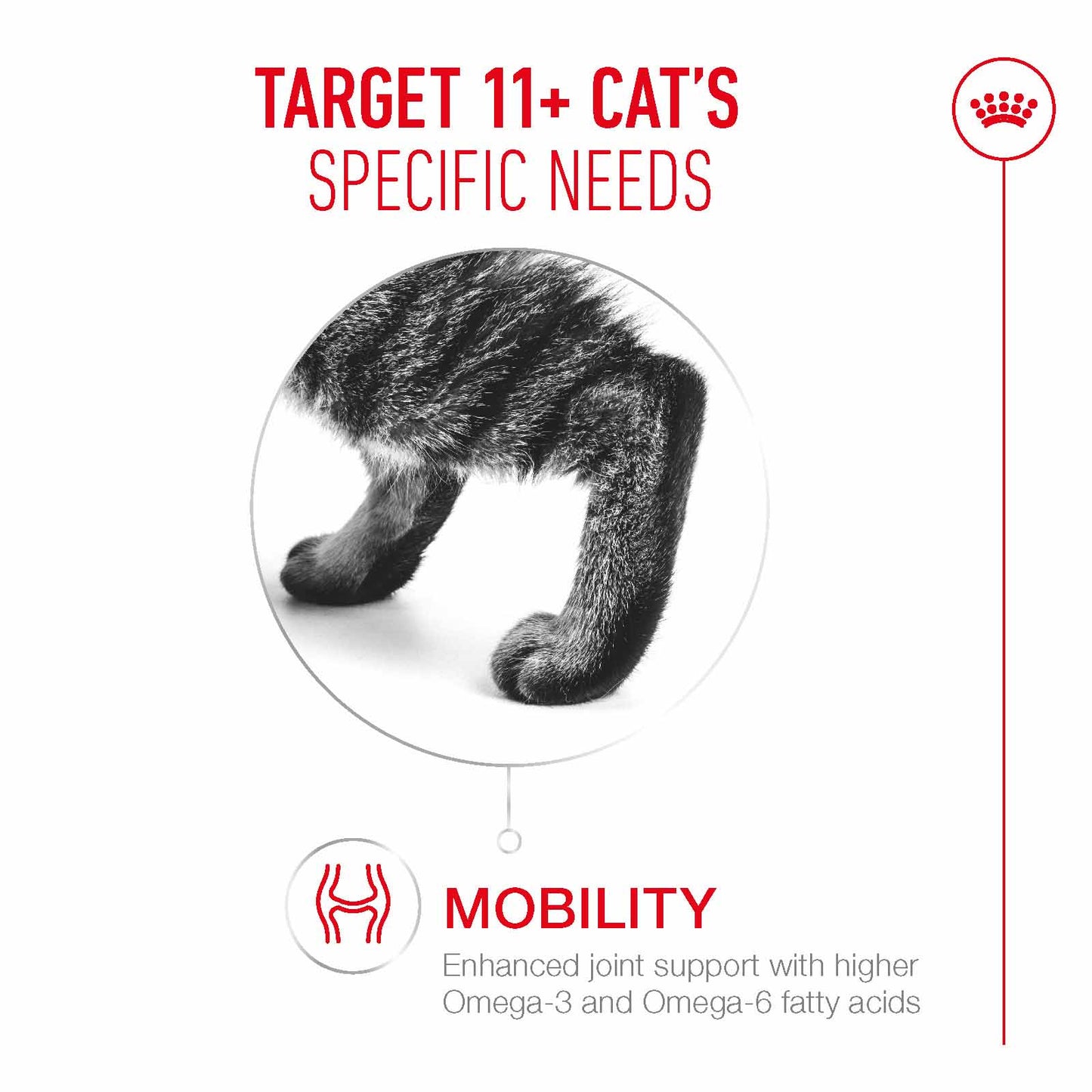 Royal Canin Ageing 11+ Senior Wet Cat Food Chunks in Jelly - 12x85g Pouches