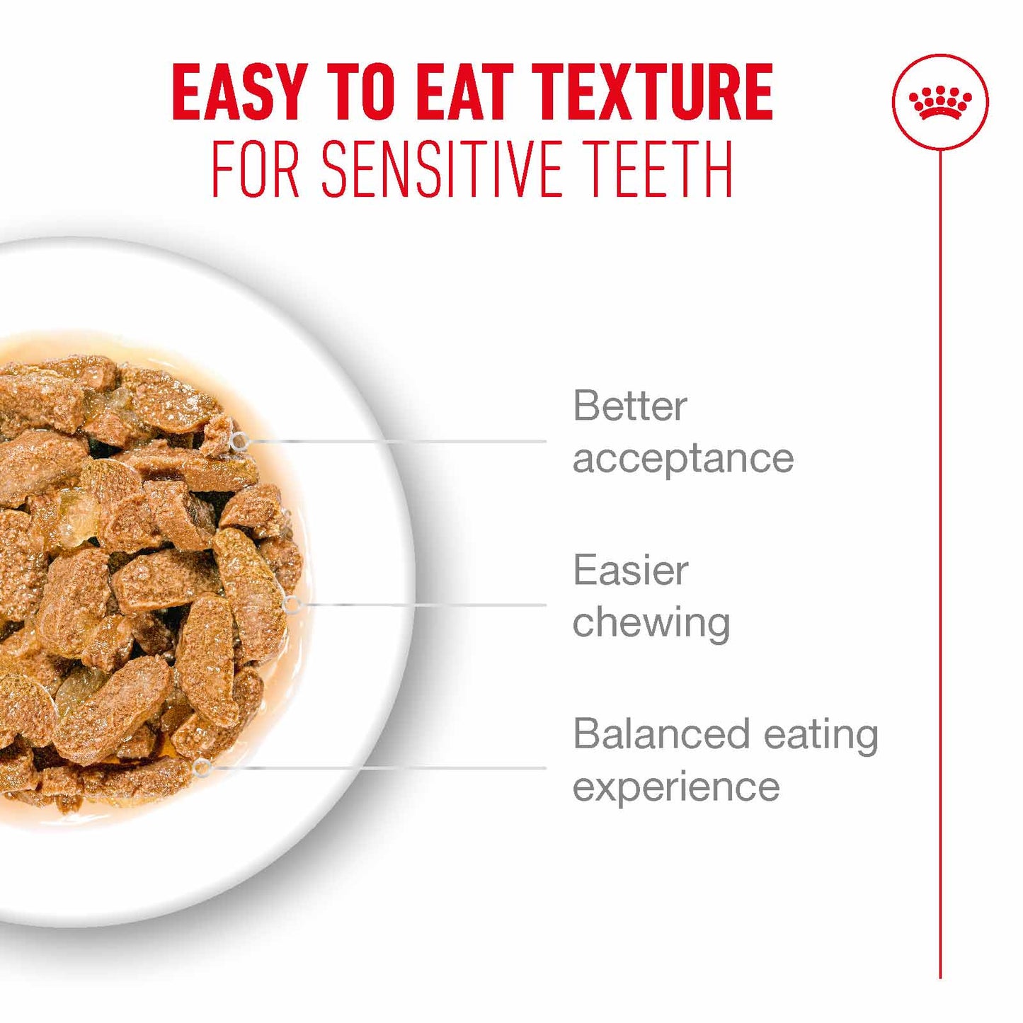 Royal Canin Ageing 11+ Senior Wet Cat Food Chunks in Jelly - 12x85g Pouches