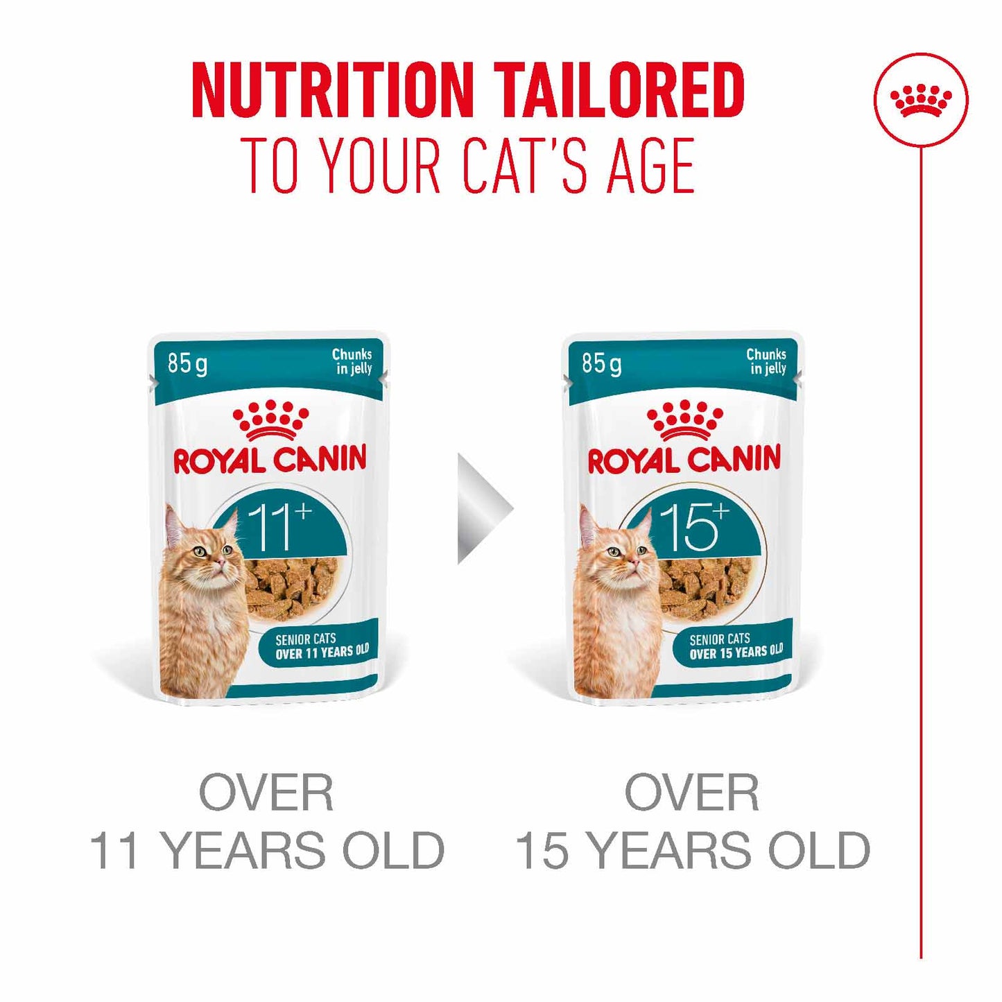 Royal Canin Ageing 11+ Senior Wet Cat Food Chunks in Jelly - 12x85g Pouches