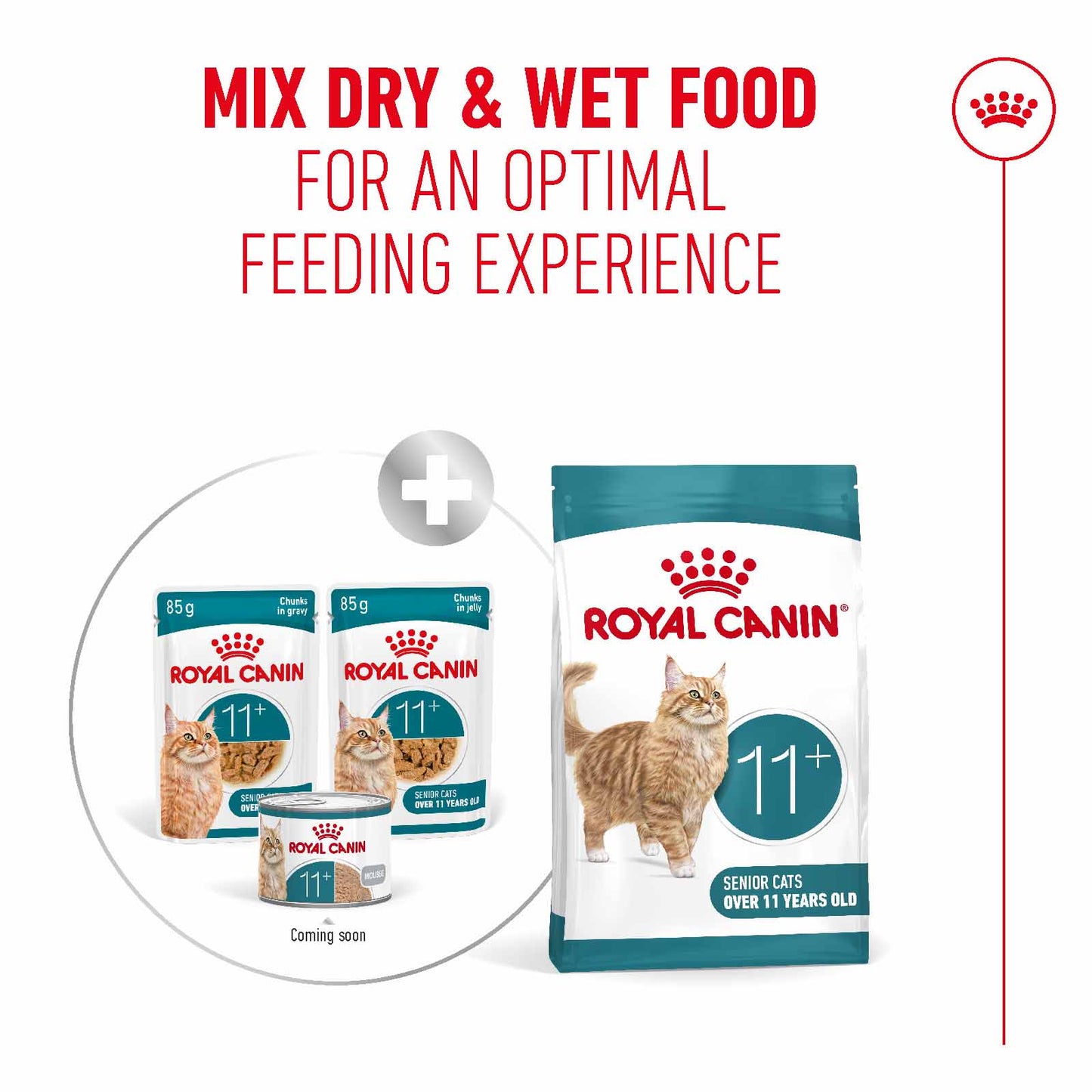 Royal Canin Ageing 11+ Senior Wet Cat Food Chunks in Jelly - 12x85g Pouches