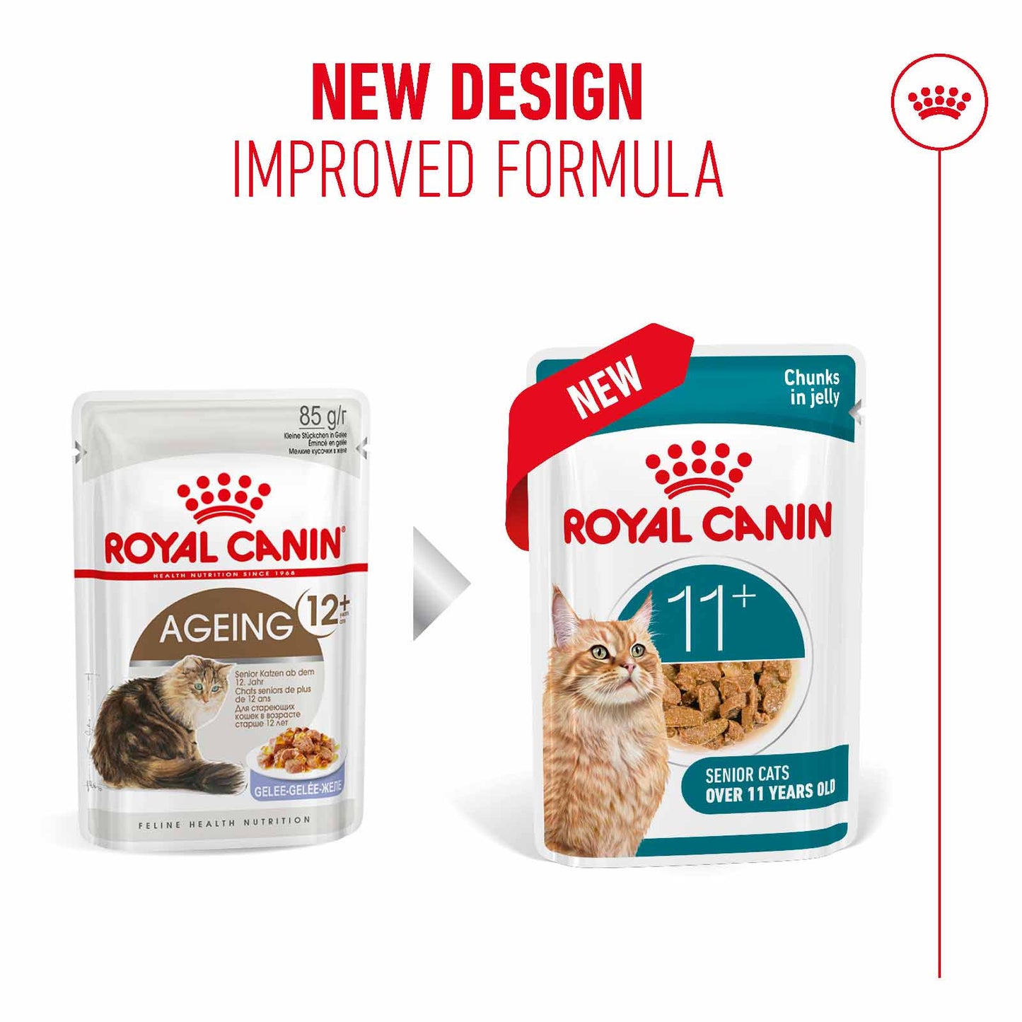 Royal Canin Ageing 11+ Senior Wet Cat Food Chunks in Jelly - 12x85g Pouches