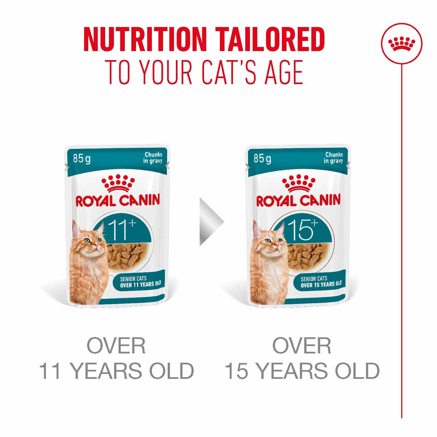 Royal Canin Ageing 11+ Senior Wet Cat Food Chunks in Gravy