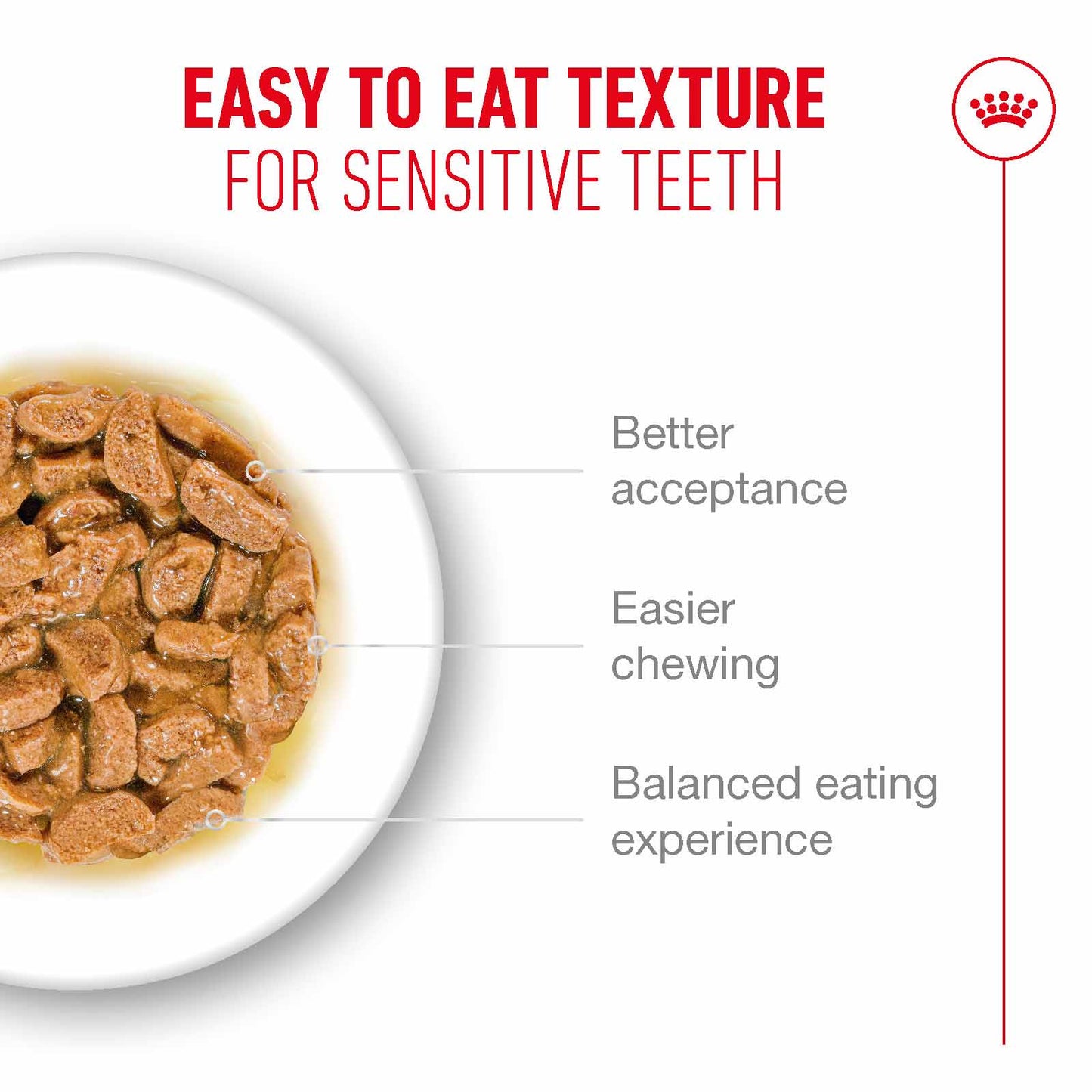 Royal Canin Ageing 15+ Senior Wet Cat Food  Chunks in Gravy - 12x85g Pouches