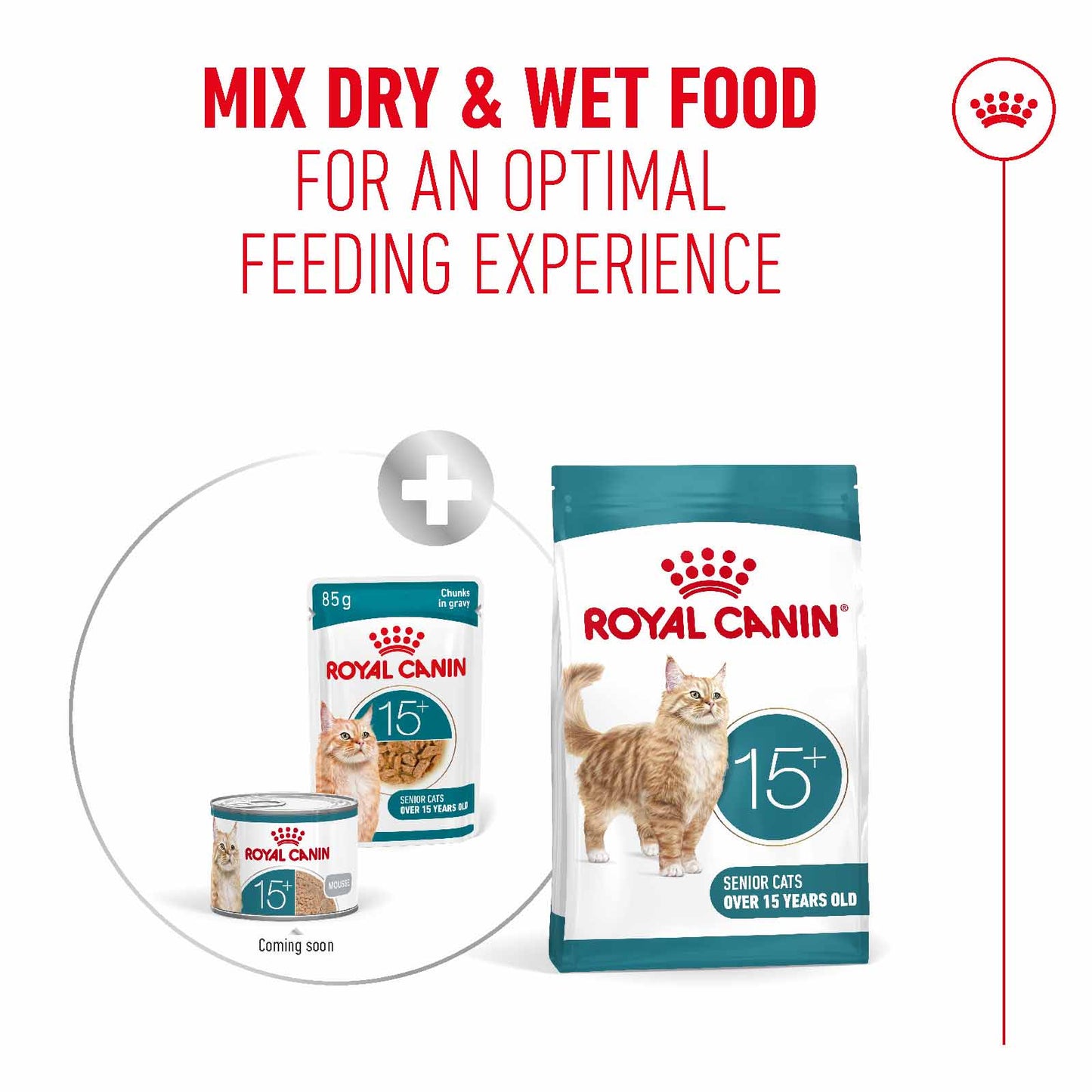 Royal Canin Ageing 15+ Senior Wet Cat Food  Chunks in Gravy - 12x85g Pouches