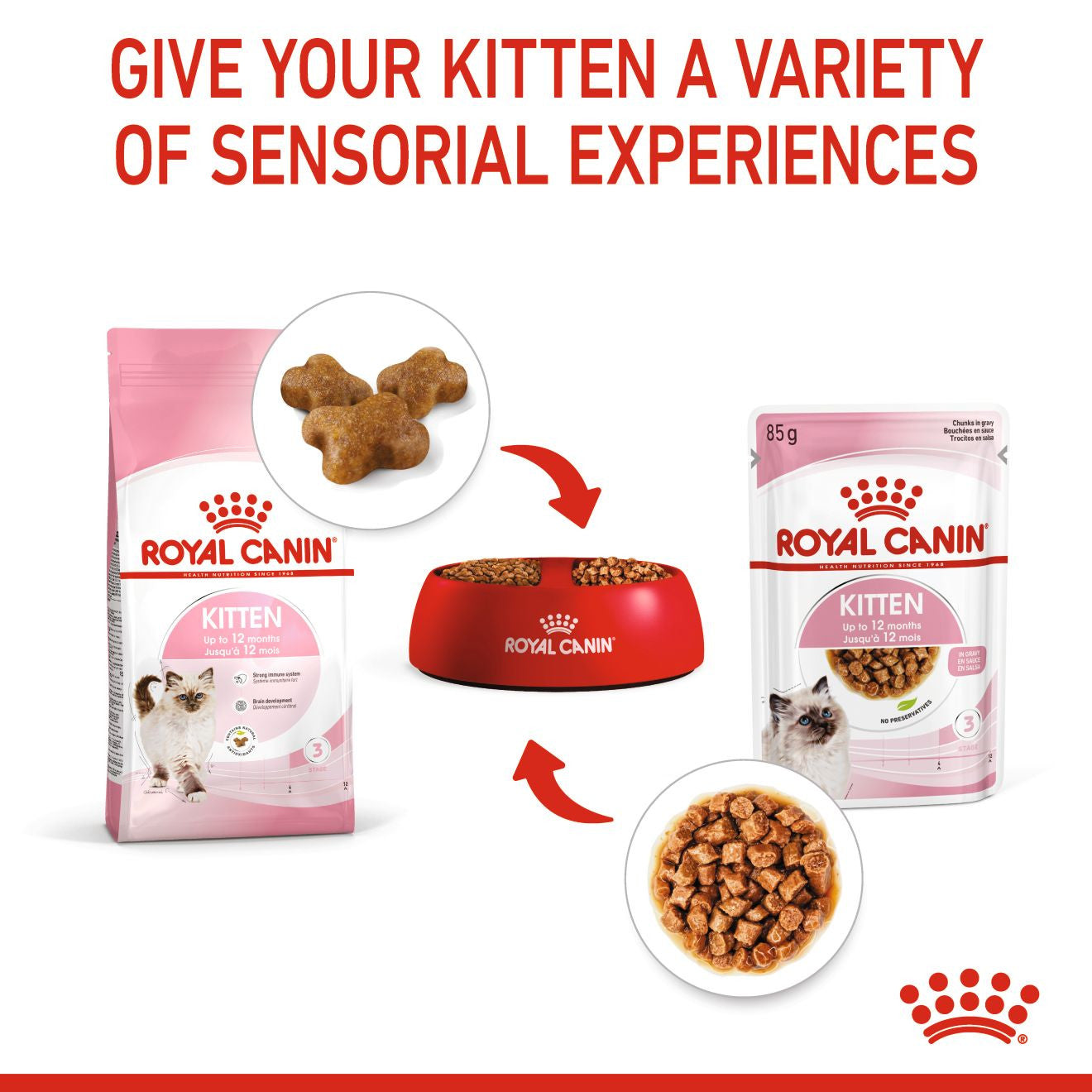 Royal Canin Feline Health Nutrition Kitten Wet Cat Food in Gravy - BULKPACK - 48x85g Pouches