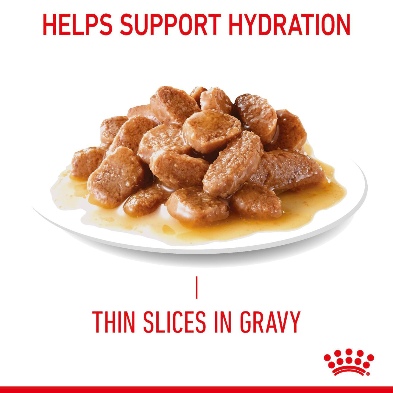ROYAL CANIN Digestive Care Adult Wet Cat Food in Gravy - 12x85g Pouches