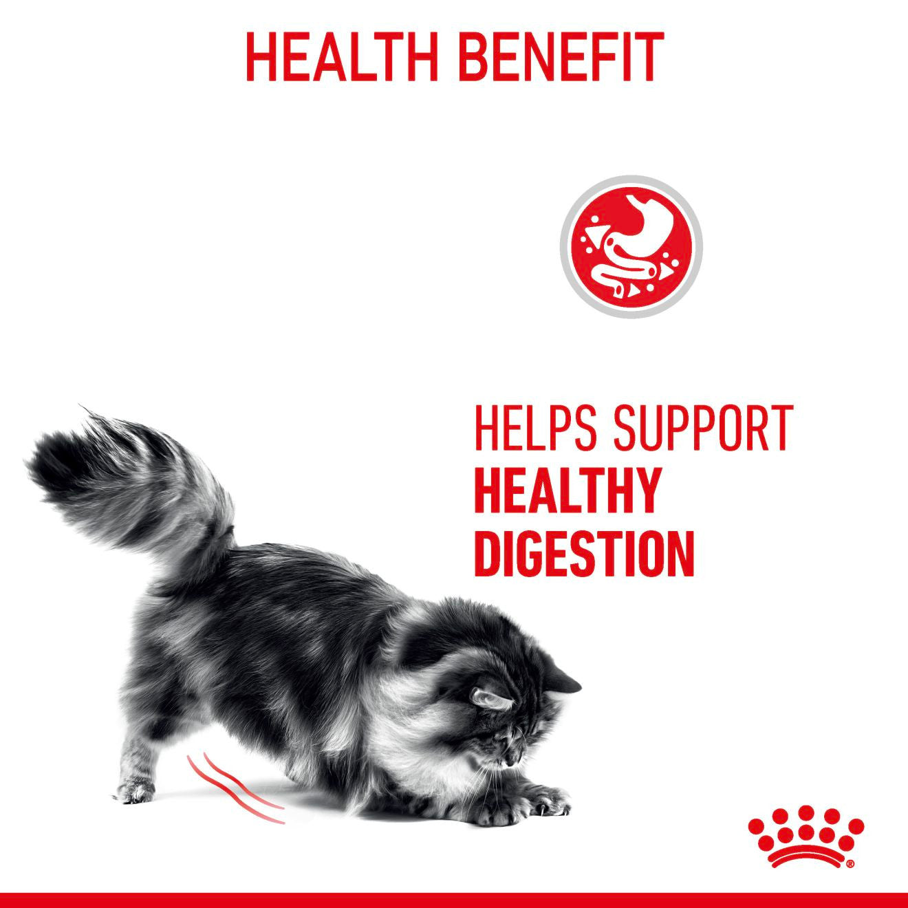 ROYAL CANIN Digestive Care Adult Wet Cat Food in Gravy - 12x85g Pouches