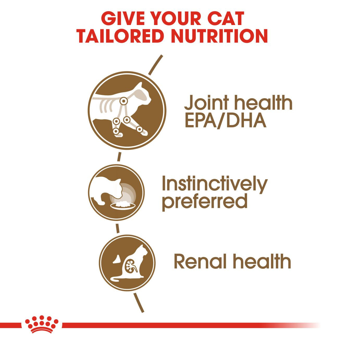 ROYAL CANIN Feline Care Nutrition Ageing 12+ Senior Wet Cat Food in Gravy - BULKPACK - 48x85g Pouche