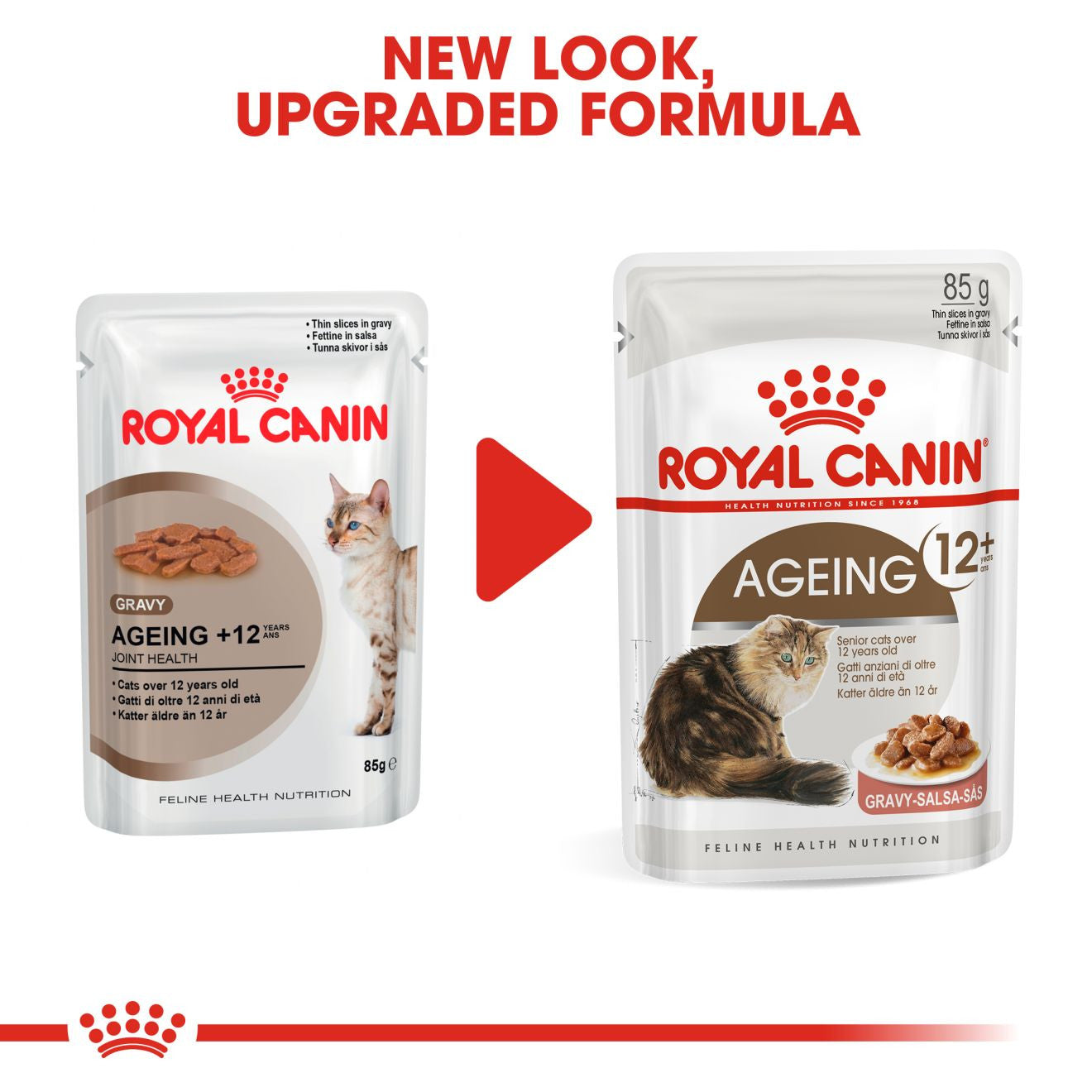 ROYAL CANIN Feline Care Nutrition Ageing 12+ Senior Wet Cat Food in Gravy - BULKPACK - 48x85g Pouche