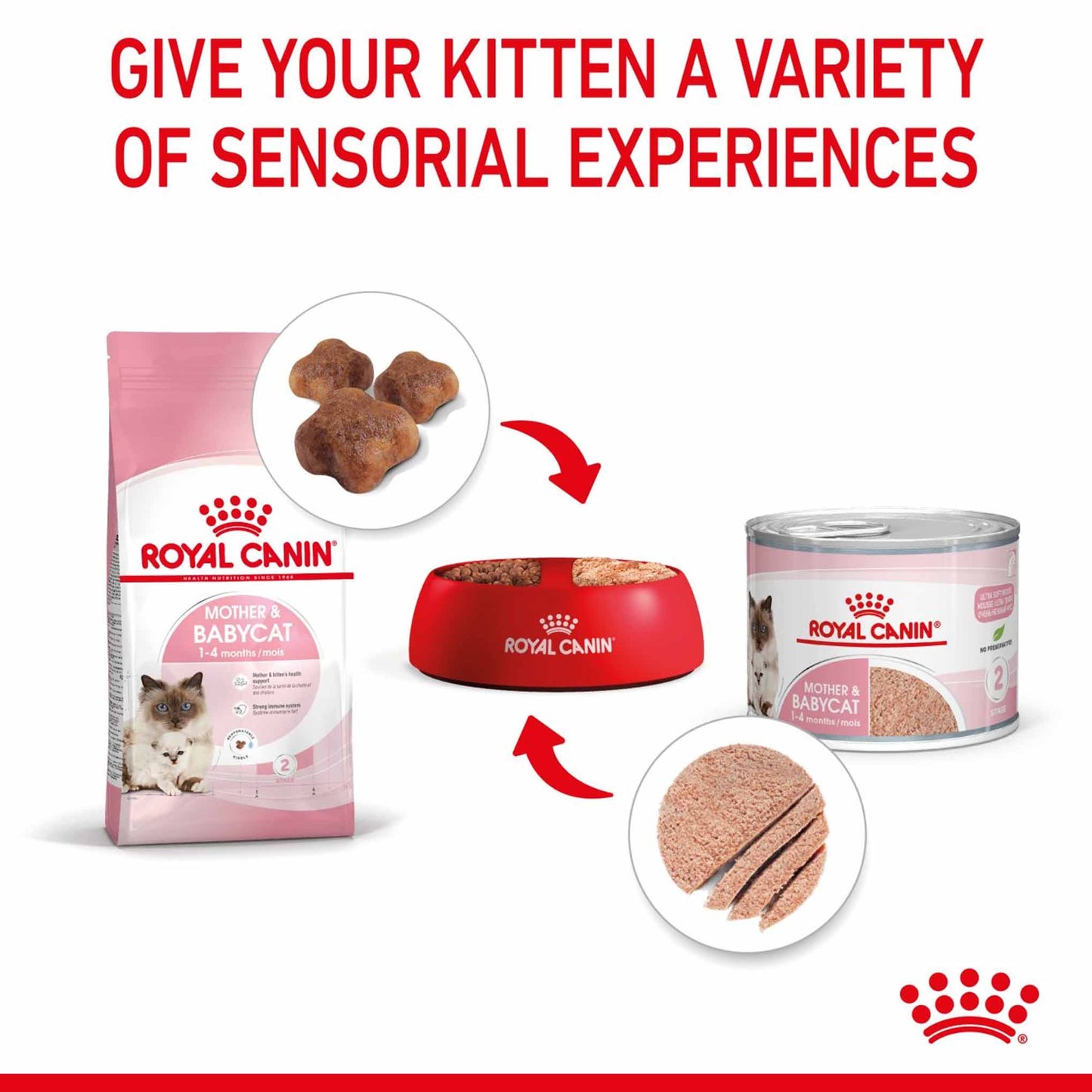 Royal Canin Feline Health Nutrition Mother & Babycat Ultra Soft Mousse Wet Cat Food - 12x195g Cans