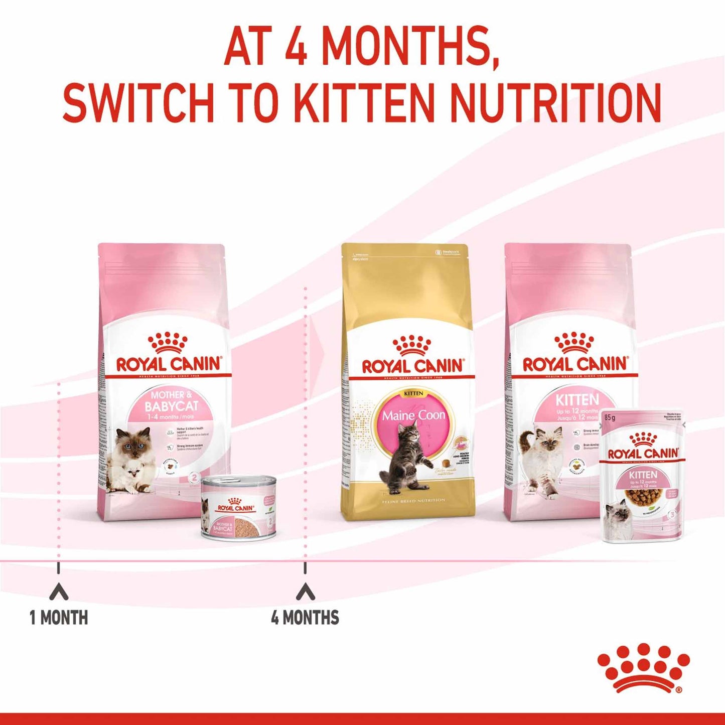 Royal Canin Feline Health Nutrition Mother & Babycat Ultra Soft Mousse Wet Cat Food - 12x195g Cans