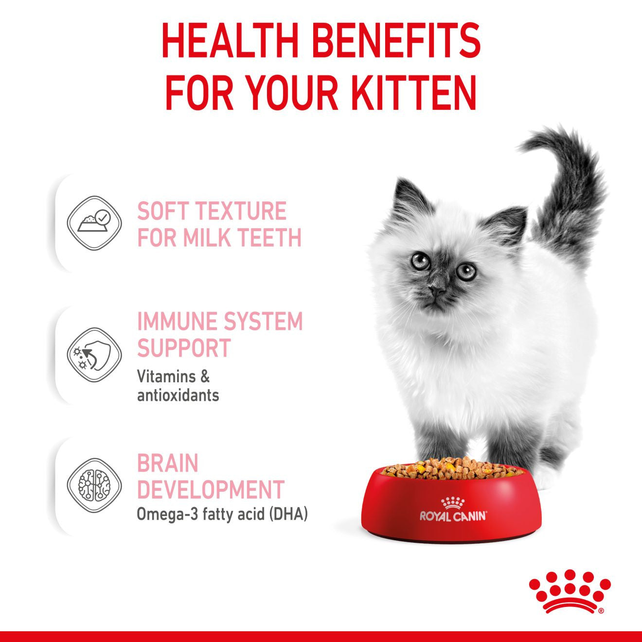 ROYAL CANIN Feline Health Nutrition Kitten Wet Cat Food in Jelly - BULKPACK - 48x85g Pouches