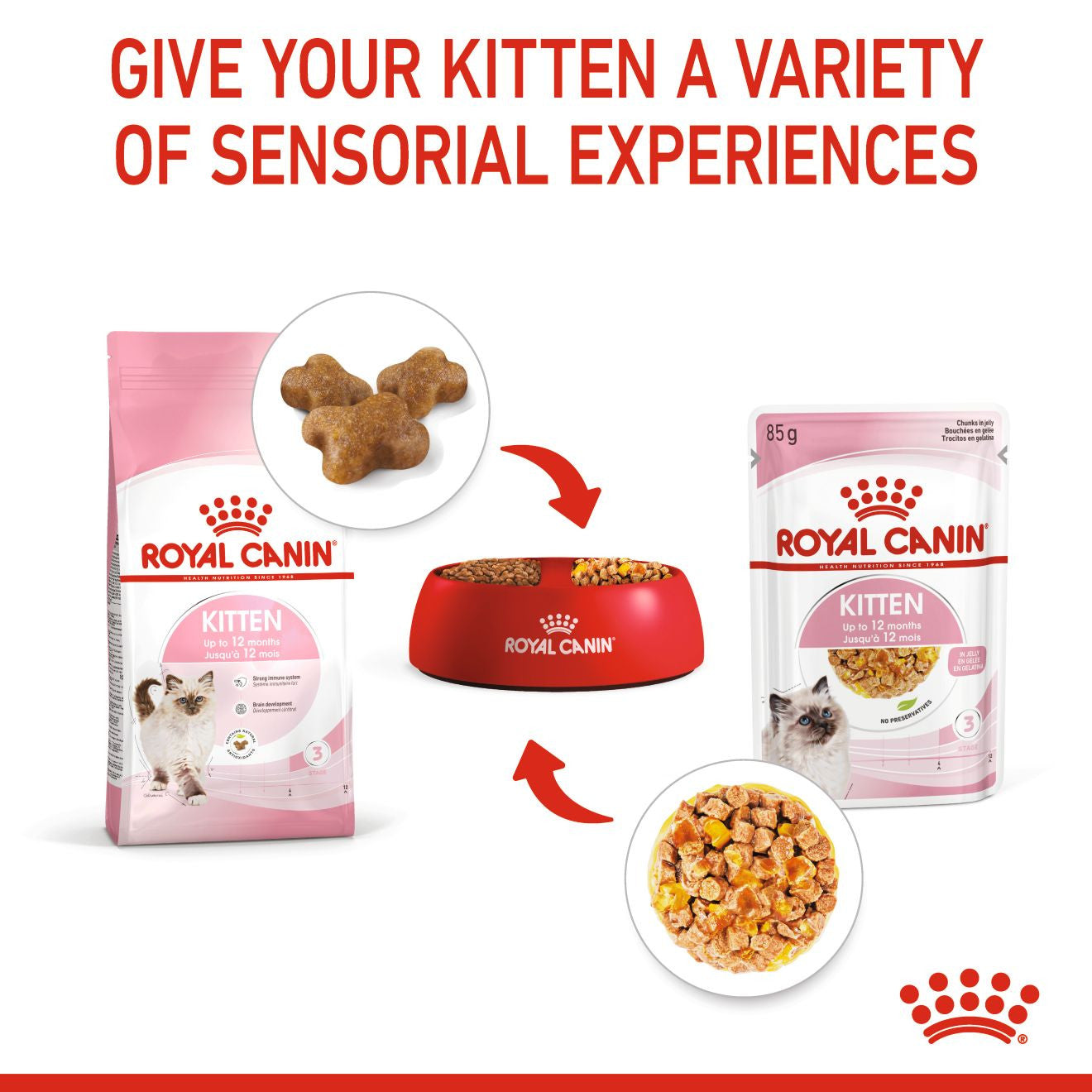 ROYAL CANIN Feline Health Nutrition Kitten Wet Cat Food in Jelly - BULKPACK - 48x85g Pouches