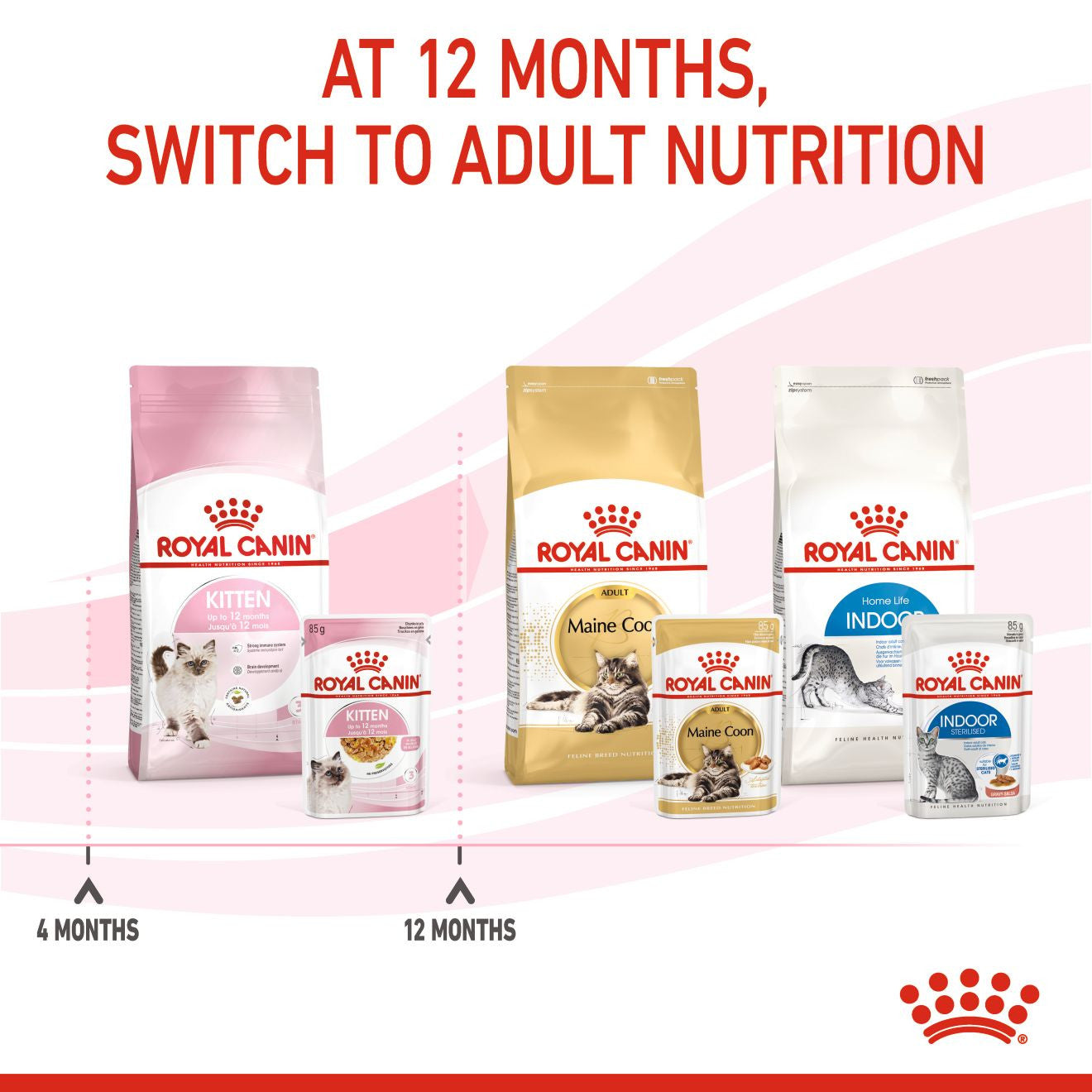 ROYAL CANIN Feline Health Nutrition Kitten Wet Cat Food in Jelly - BULKPACK - 48x85g Pouches