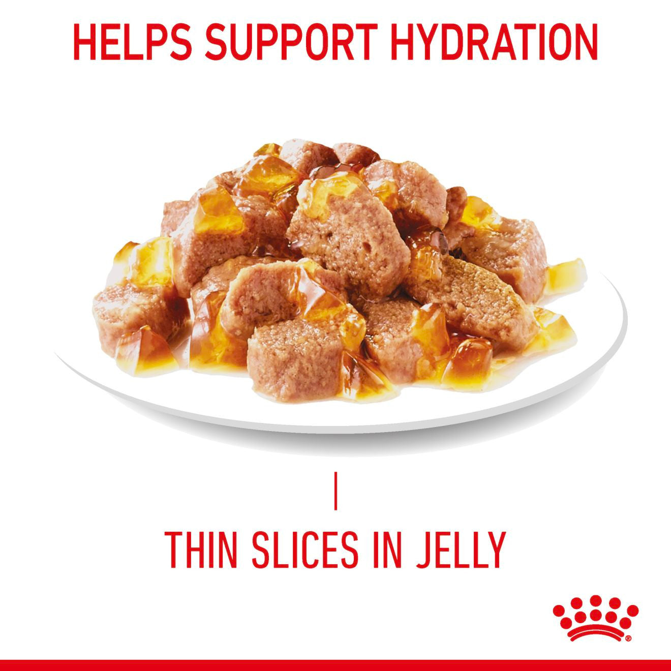 ROYAL CANIN Hair & Skin Care Adult Wet Cat Food In Jelly - 12x85g Pouches