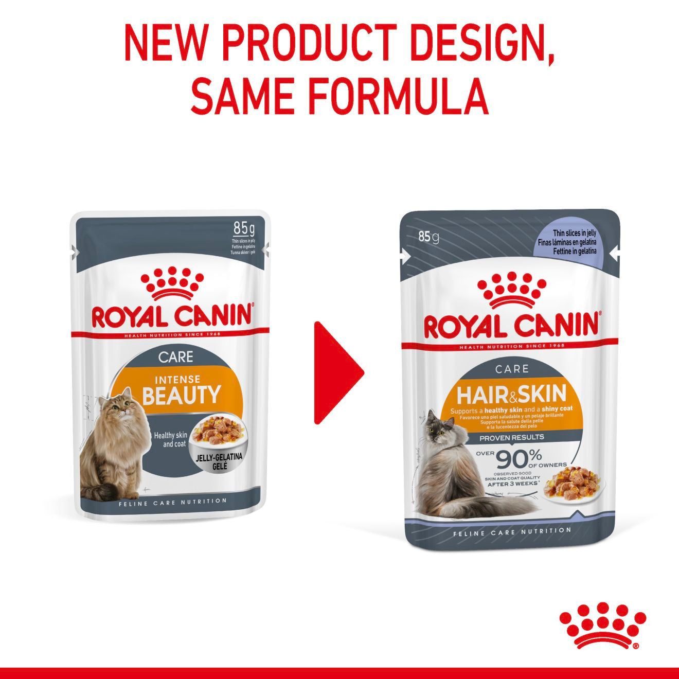ROYAL CANIN Hair & Skin Care Adult Wet Cat Food In Jelly - 12x85g Pouches