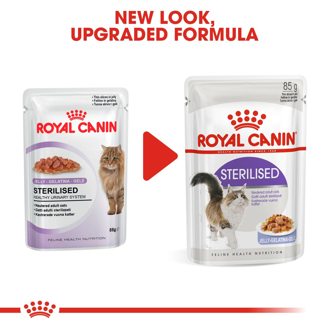 ROYAL CANIN Feline Care Nutrition Sterilised Adult In Jelly Wet Cat Food - 12 x 85g Pouch