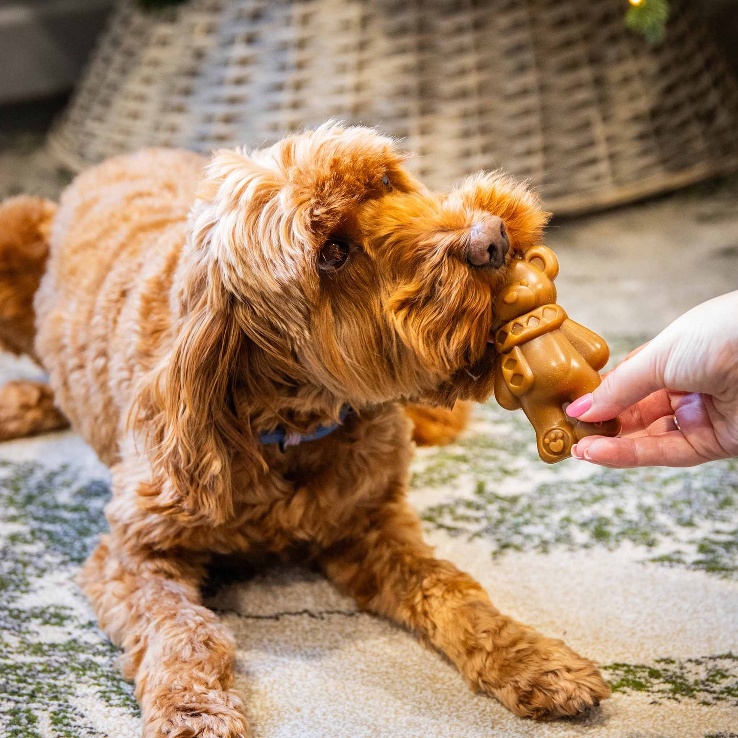 Rosewood Cupid & Comet Festive Teddy Bear Dog Chew - 50g