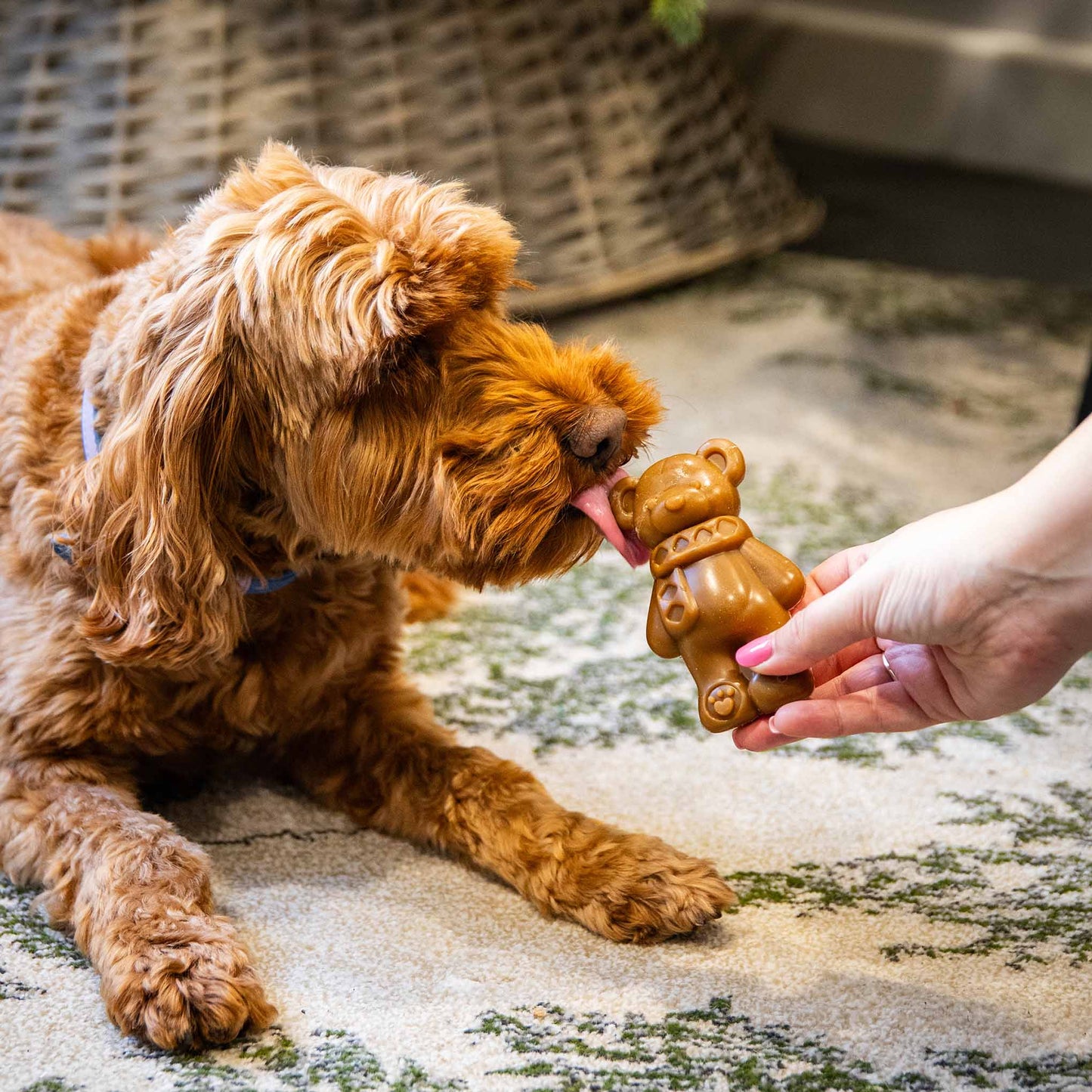 Rosewood Cupid & Comet Festive Teddy Bear Dog Chew - 50g