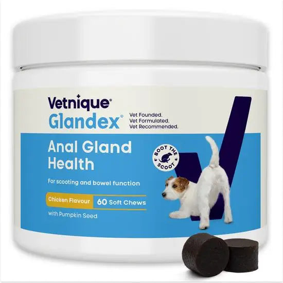 Glandex Advance Anal Gland Support Chicken Soft Chews for Dogs