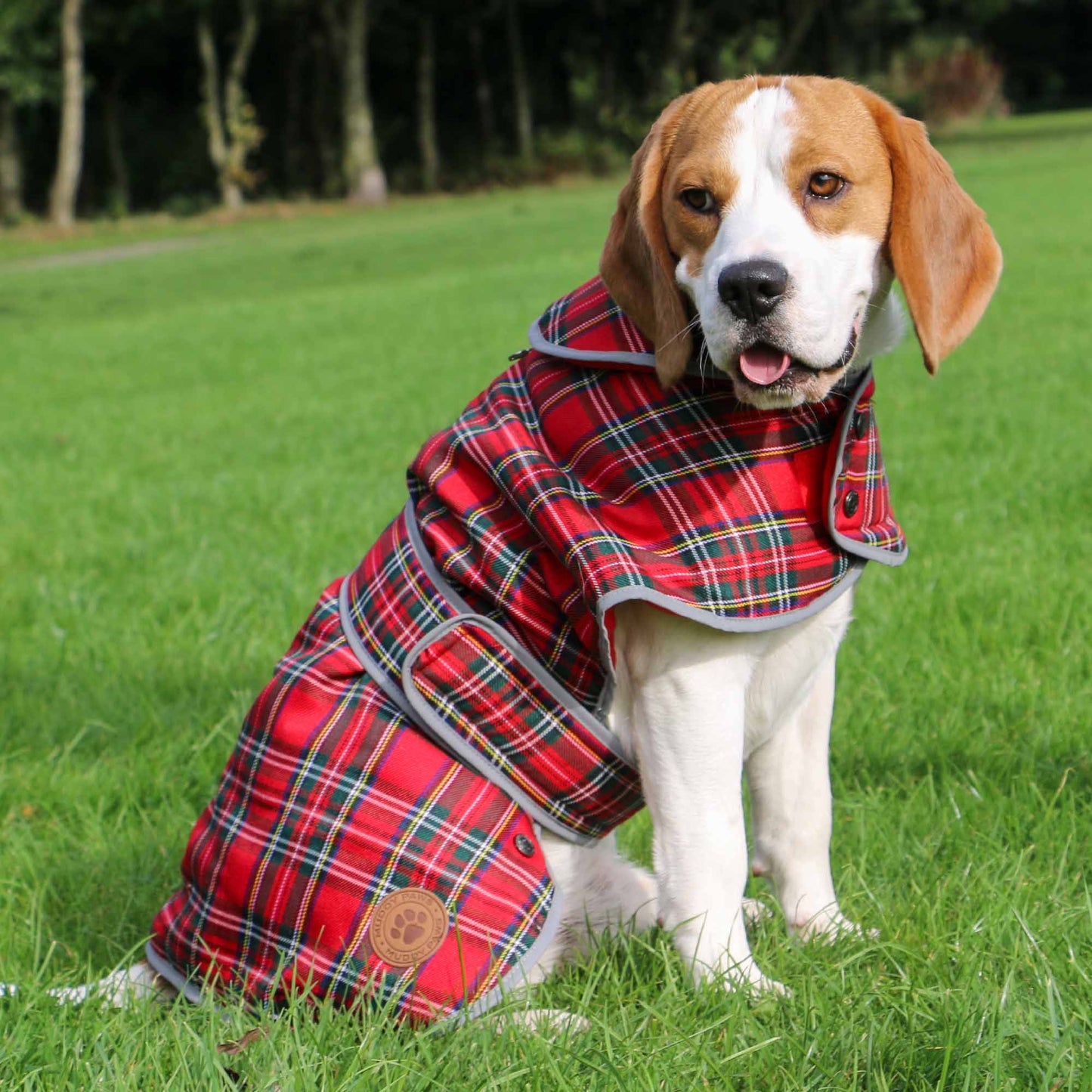 Ancol Highland Red Tartan Dog Coat - 20in / 50cm