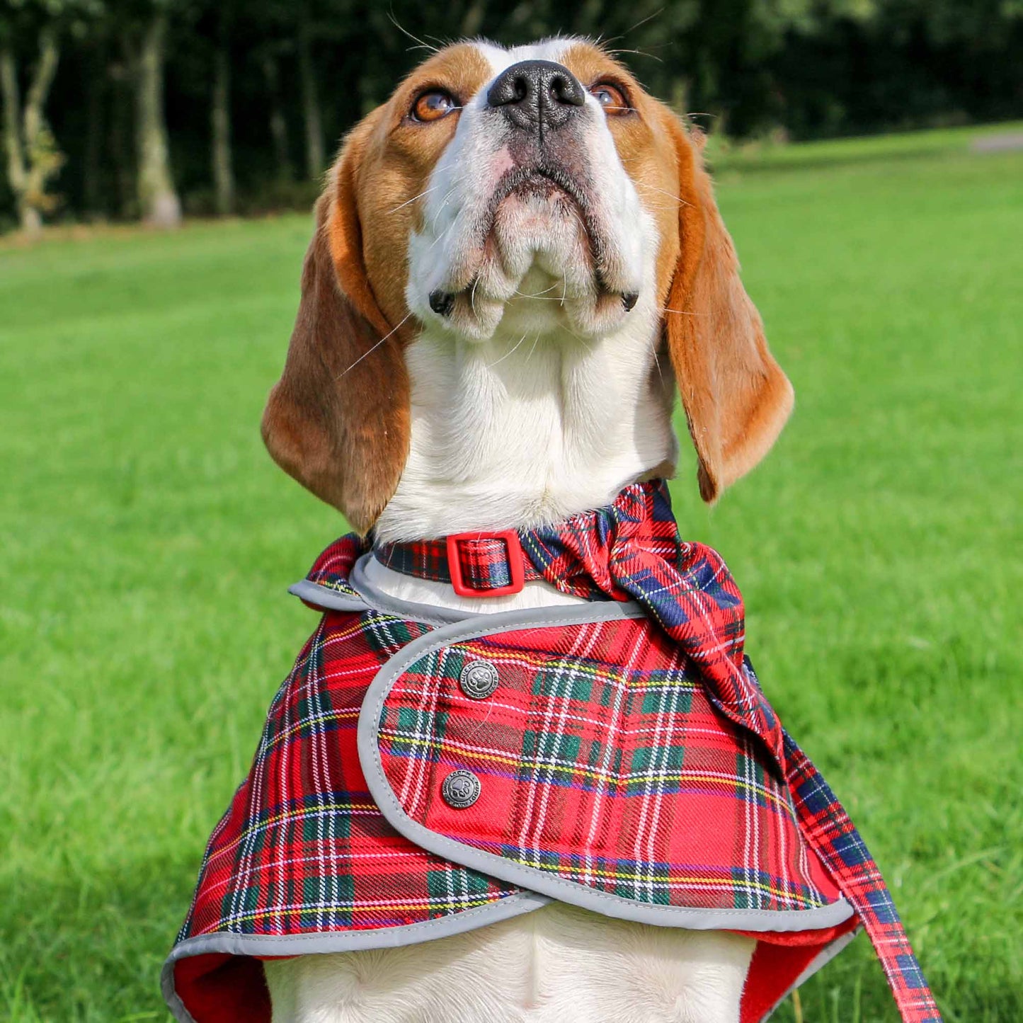 Ancol Highland Red Tartan Dog Coat - 20in / 50cm