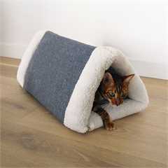 40 Winks Snuggle Plush 2 in 1 Cat Comfort Den
