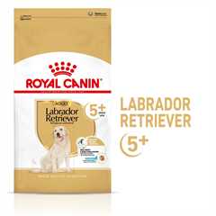 Royal Canin Breed Health Nutrition Labrador Retriever Adult 5+ Dry Dog Food