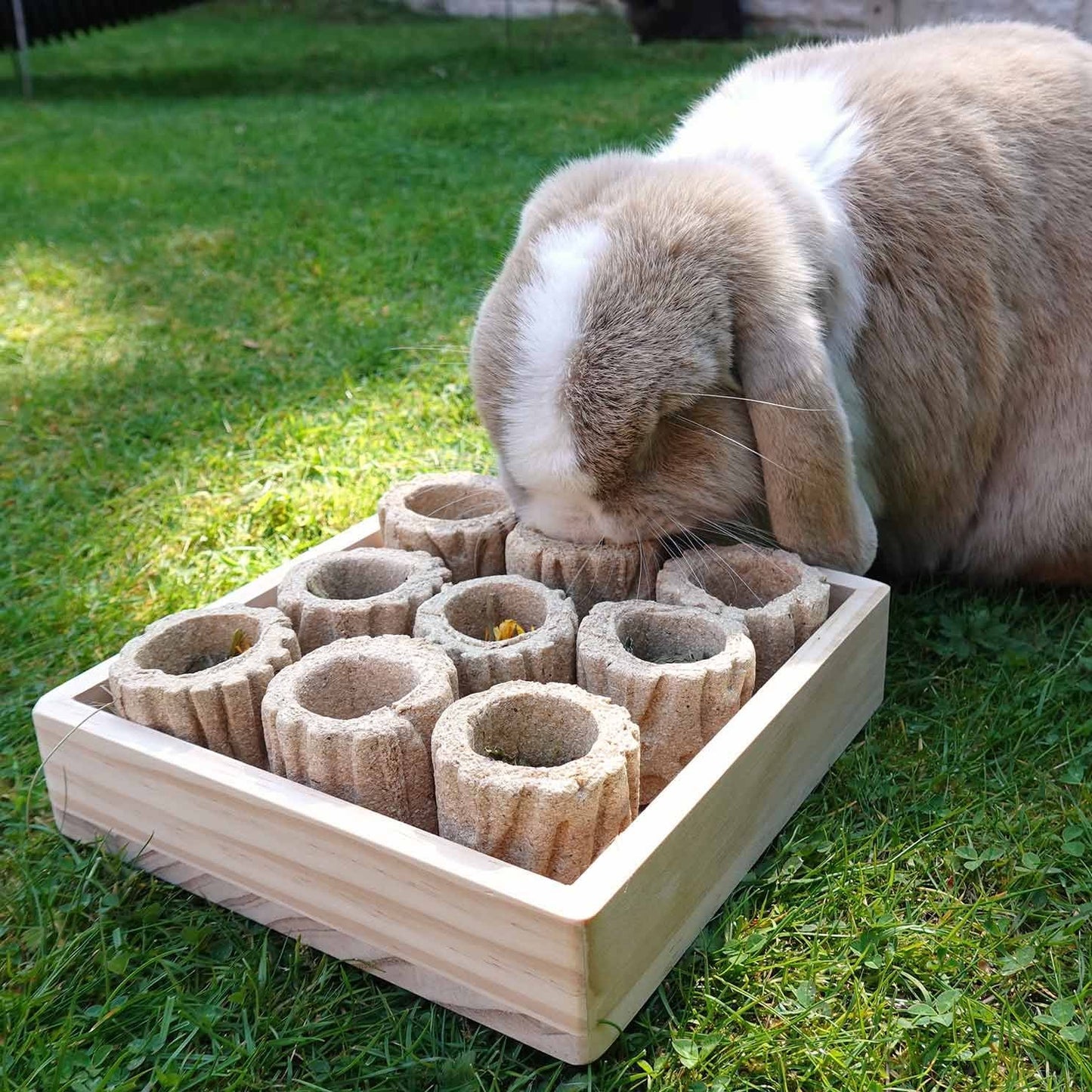 Rosewood Hide n Treat Forage Tray
