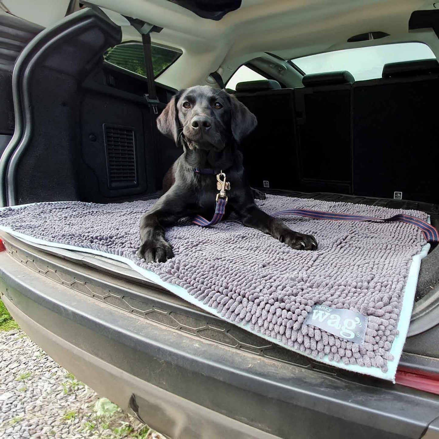 Henry Wag Microfibre Noodle Pet Mat