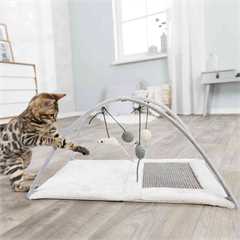 Trixie Junior Cat Activity Mat