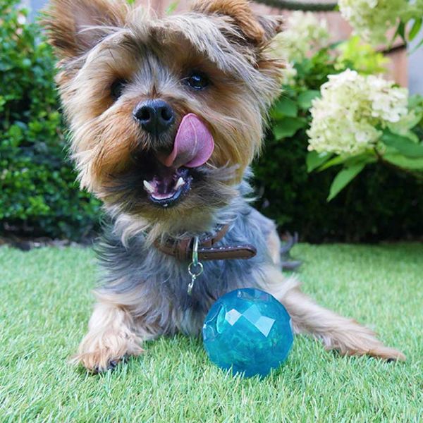 Rosewood Biosafe Puppy Treat Dispensing Toy - Blue - Ball