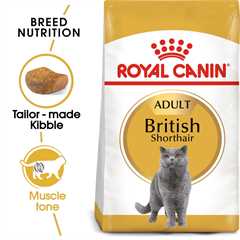 ROYAL CANIN British Shorthair Dry Adult Cat Food