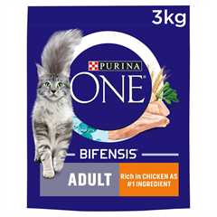 Purina ONE Adult Dry Cat Food - Wholegrains - Salmon