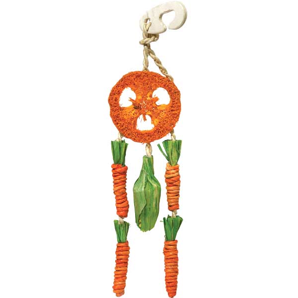 Rosewood Carrot Dream Catcher