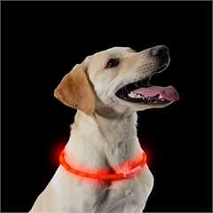 Ancol USB Rechargeable Flashing Dog Collar - Orange - Adjustable up to 70cm