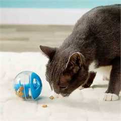 Catit Treat Ball - Pink