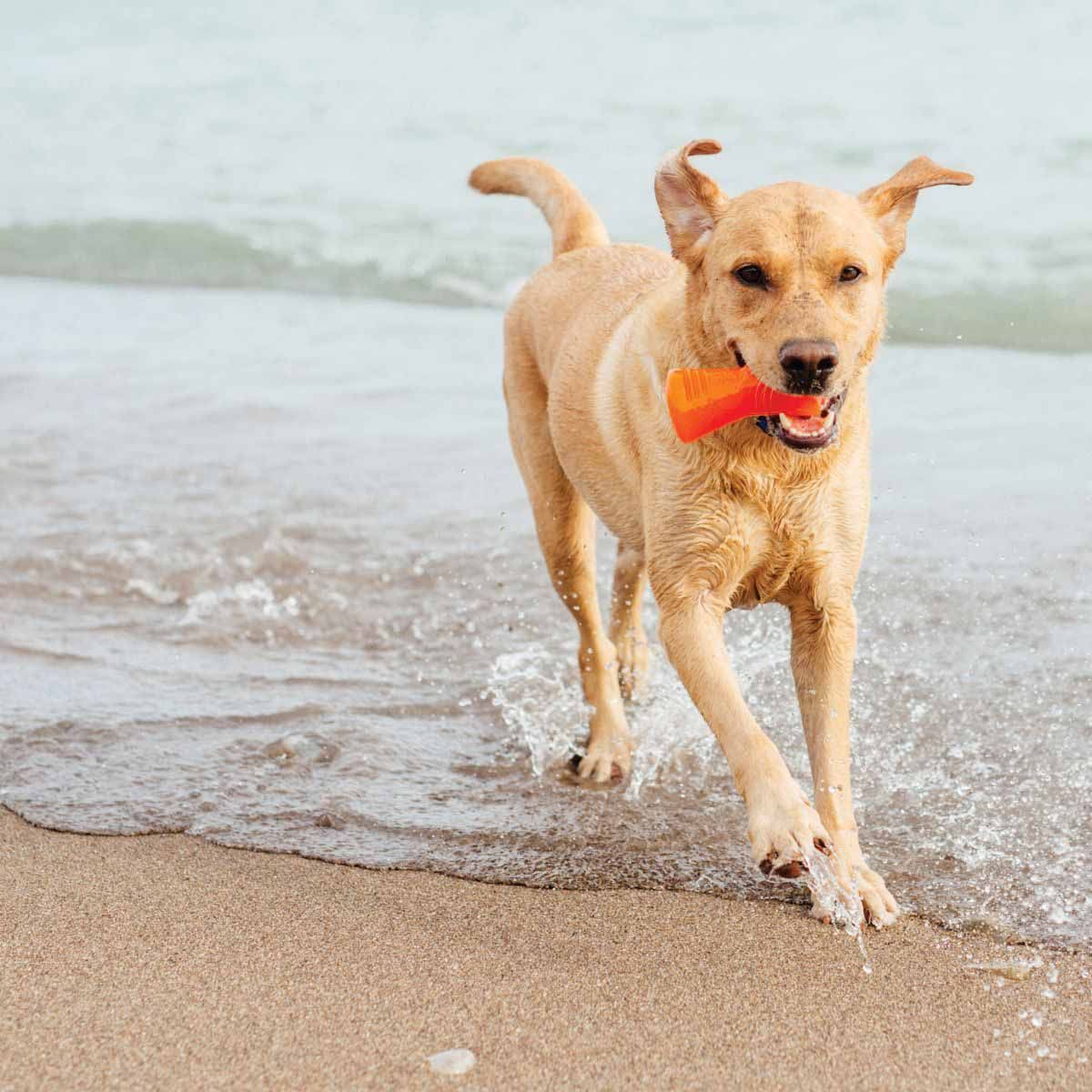 BIONIC Bone Dog Toy - Medium - 12cm