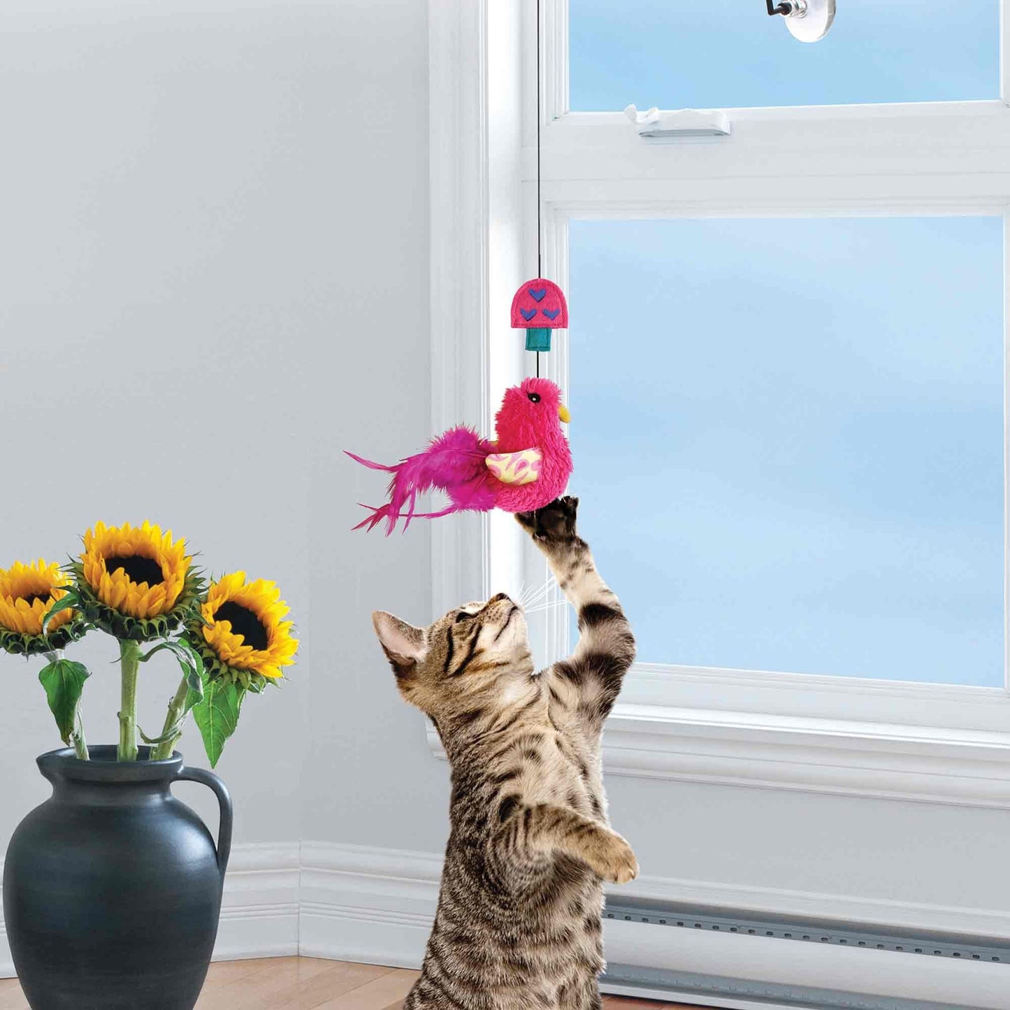 KONG Cat Window Teaser