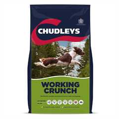Chudleys Working Dog Working Crunch Adult Dry Dog Food - Chicken