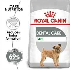 Royal Canin Size Health Nutrition Mini Dental Care Adult Dry Dog Food
