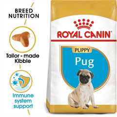 Royal Canin Breed Health Nutrition Pug Puppy Dry Dog Food