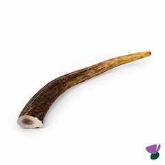 Thistlers Antler Dog Chew - Extra Large