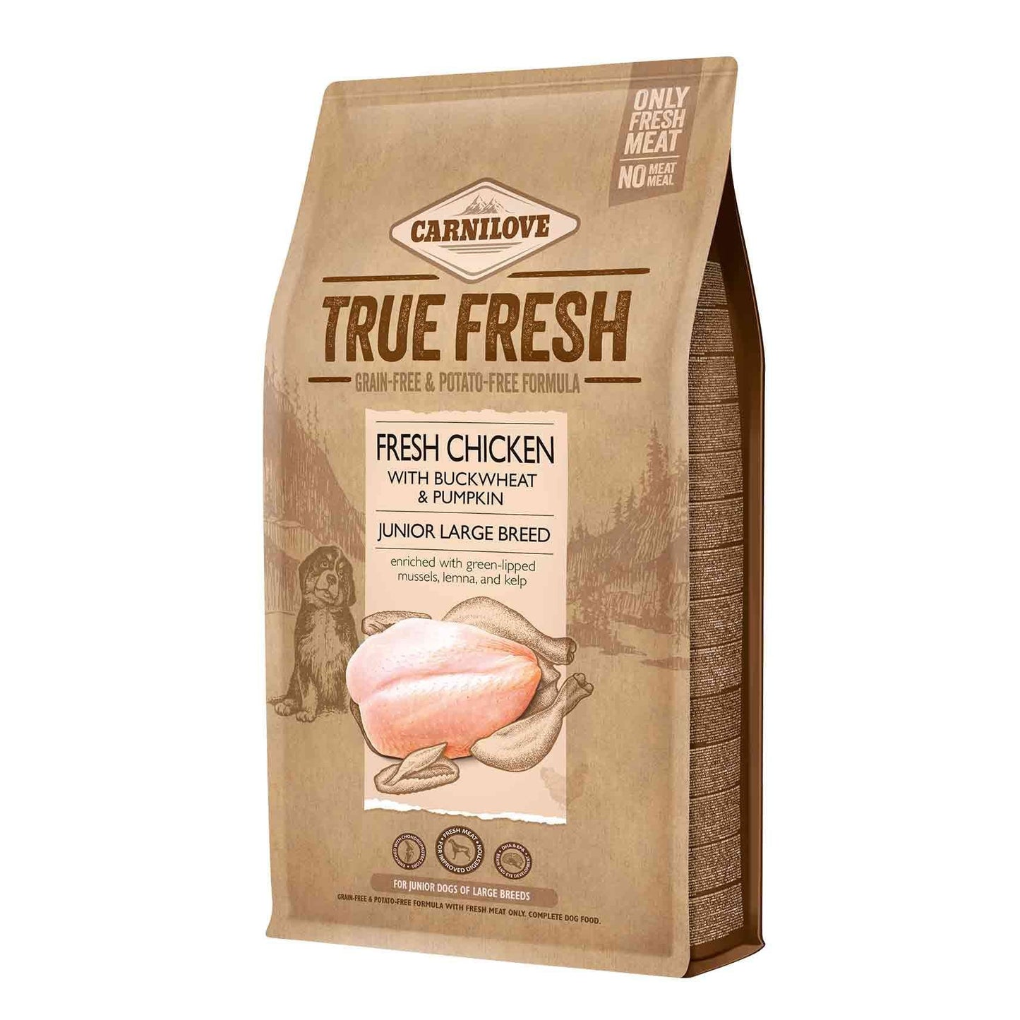 Carnilove True Fresh Junior Large Breed Dry Dog Food - Chicken with Buckwheat & Pumpkin