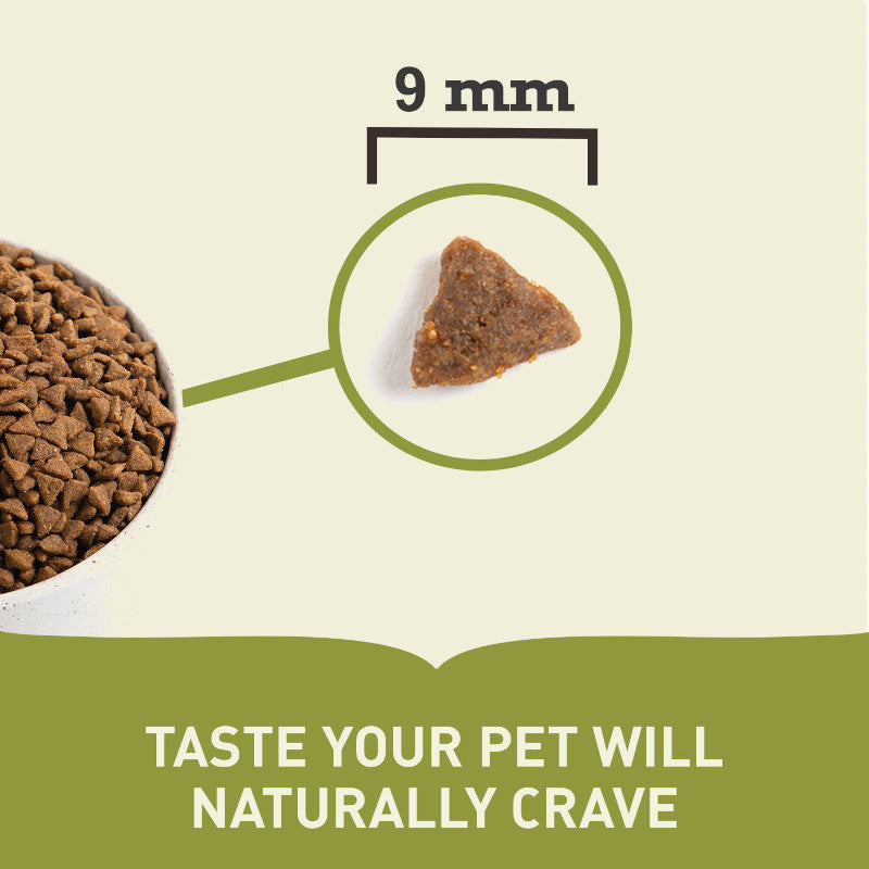 Acana Bountiful Catch Dry Cat Food