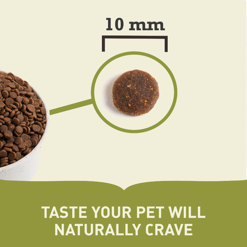 Acana Grain Free Grasslands Dry Cat Food