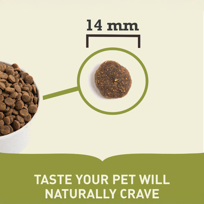 Acana Singles Grass Fed Lamb Adult Dry Dog Food