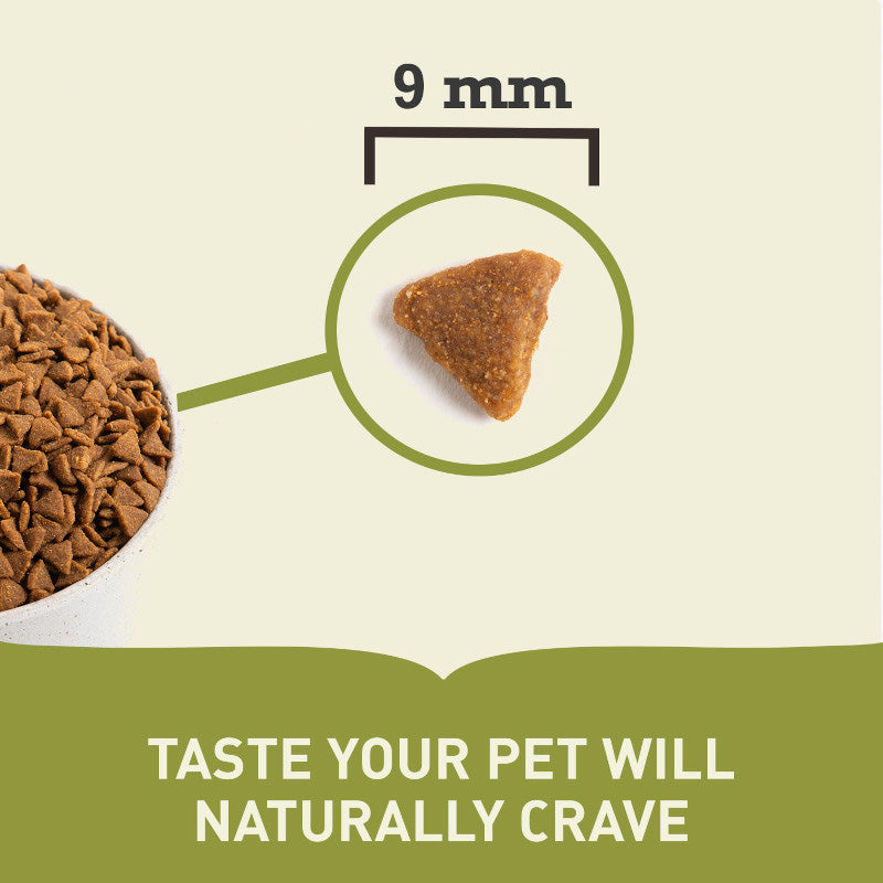 Acana Indoor Entrée Dry Cat Food
