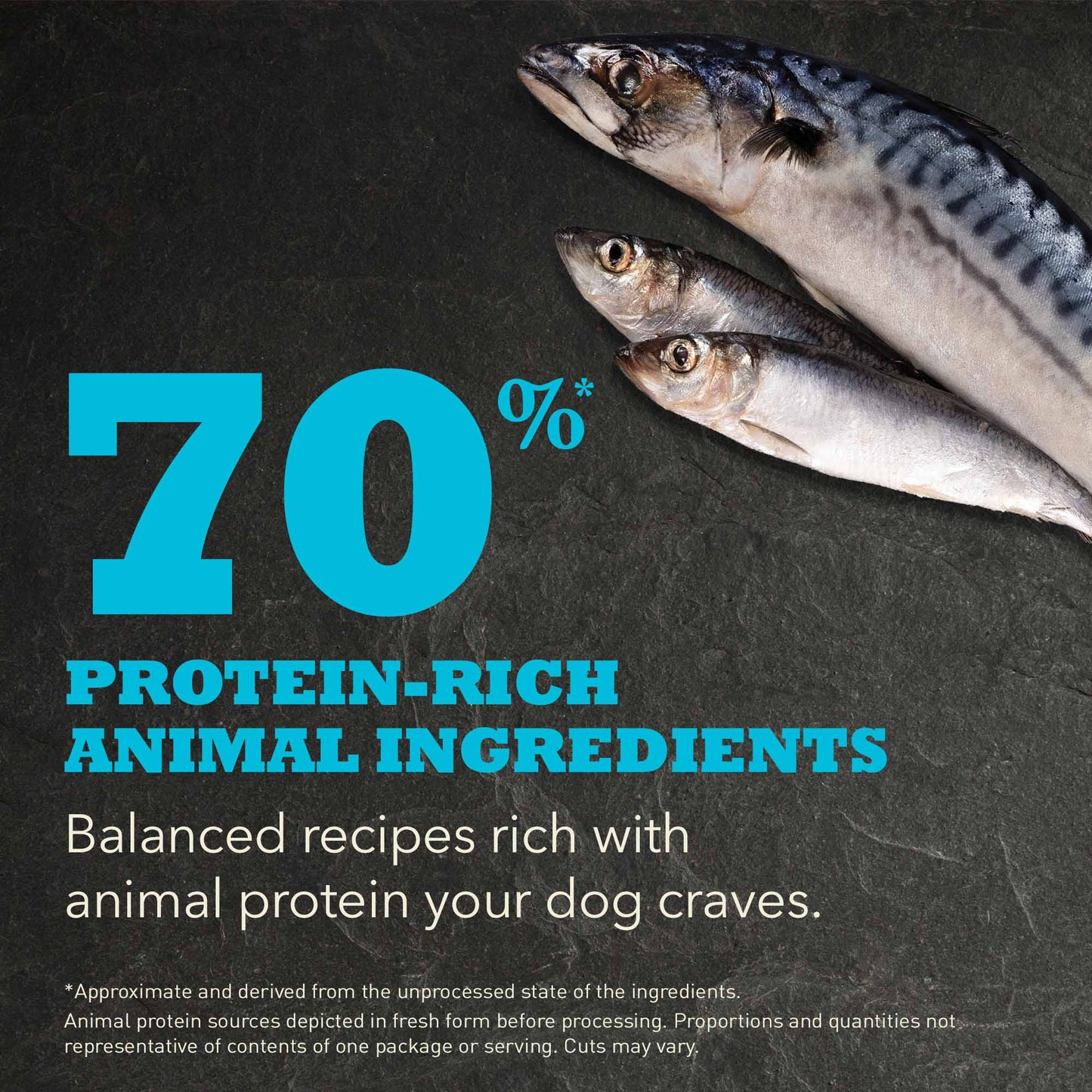 Acana Highest Protein Pacifica Grain Free Adult Dry Dog Food